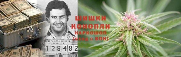 ГАЛЛЮЦИНОГЕННЫЕ ГРИБЫ Абаза