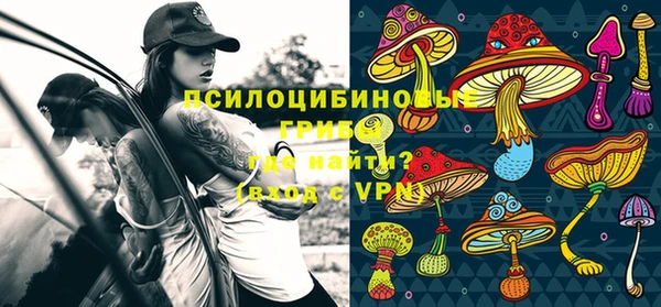 ГАЛЛЮЦИНОГЕННЫЕ ГРИБЫ Абаза