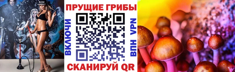 ОМГ ОМГ онион  Новоалтайск  Галлюциногенные грибы ЛСД 