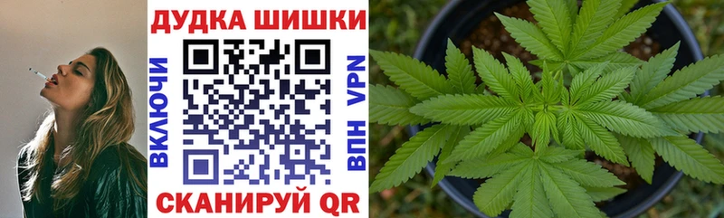 Конопля LSD WEED  где купить   мега как зайти  Новоалтайск 